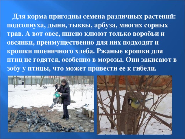 Для корма пригодны семена различных растений: подсолнуха, дыни, тыквы, арбуза, многих сорных трав. А вот овес, пшено клюют только воробьи и овсянки, преимущественно для них подходят и крошки пшеничного хлеба. Ржаные крошки для птиц не годятся, особенно в морозы. Они закисают в зобу у птицы, что может привести ее к гибели.  