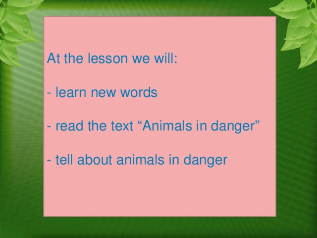 At the lesson we will: - learn new words - read the text “Animals in danger” - tell about animals in danger 