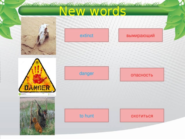 New words extinct вымирающий danger опасность to hunt охотиться 