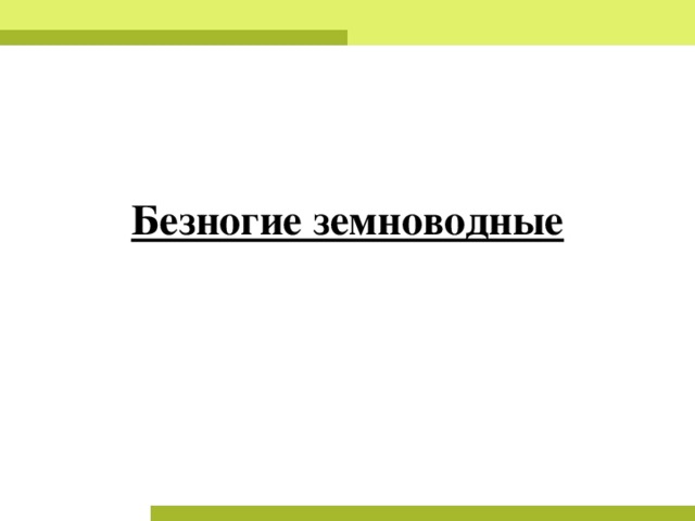 Безногие земноводные  