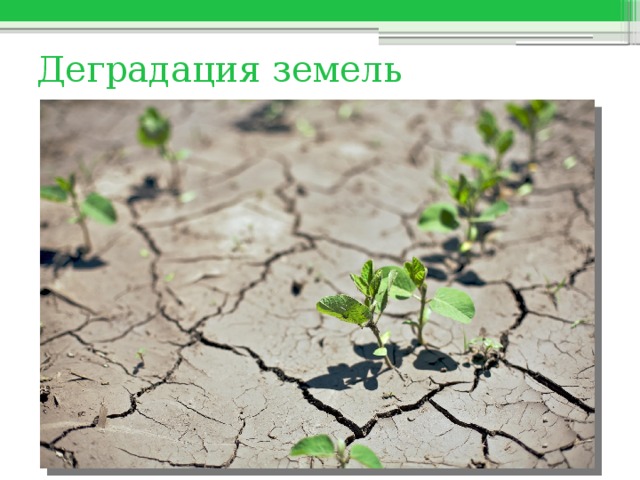 Деградация земель 