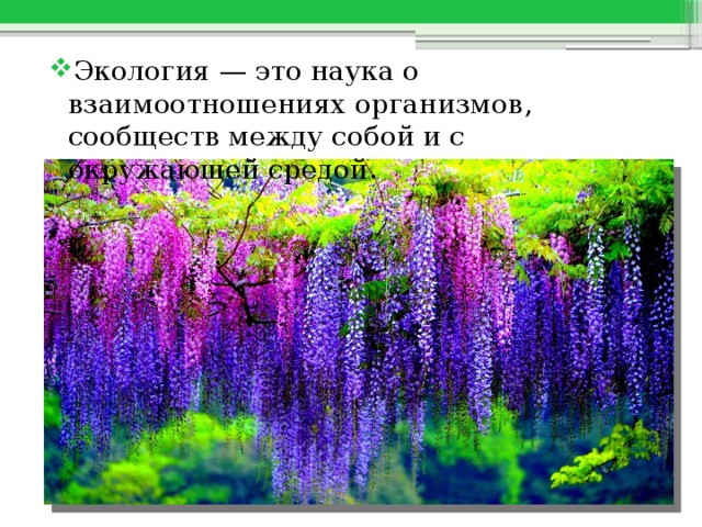 Экология — это наука о взаимоотношениях организмов, сообществ между собой и с окружающей средой. 