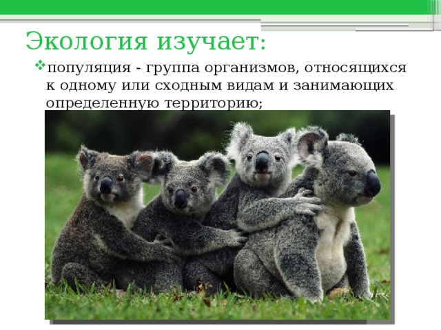 Экология изучает: популяция - группа организмов, относящихся к одному или сходным видам и занимающих определенную территорию; 