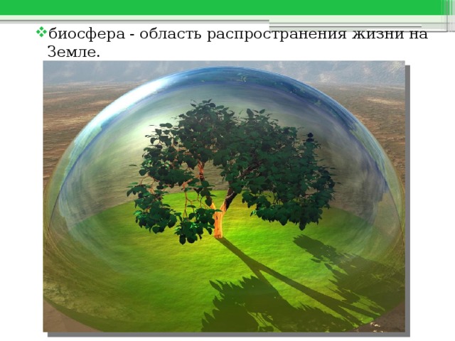 биосфера - область распространения жизни на Земле. 