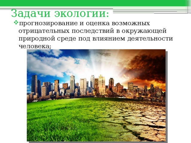 Задачи экологии: прогнозирование и оценка возможных отрицательных последствий в окружающей природной среде под влиянием деятельности человека; 
