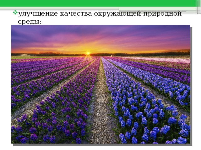 улучшение качества окружающей природной среды; 