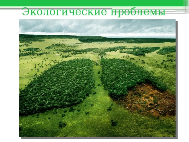 Экологические проблемы 