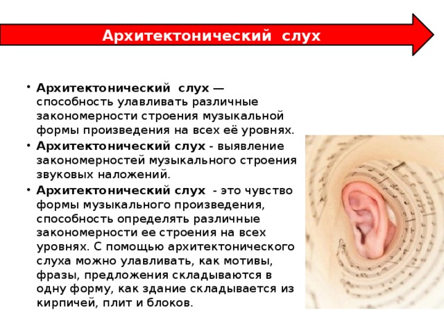Архитектонический  слух Архитектонический   слух  — способность улавливать различные закономерности строения музыкальной формы произведения на всех её уровнях. Архитектонический слух  - выявление закономерностей музыкального строения звуковых наложений. Архитектонический слух   - это чувство формы музыкального произведения, способность определять различные закономерности ее строения на всех уровнях. С помощью архитектонического слуха можно улавливать, как мотивы, фразы, предложения складываются в одну форму, как здание складывается из кирпичей, плит и блоков. 