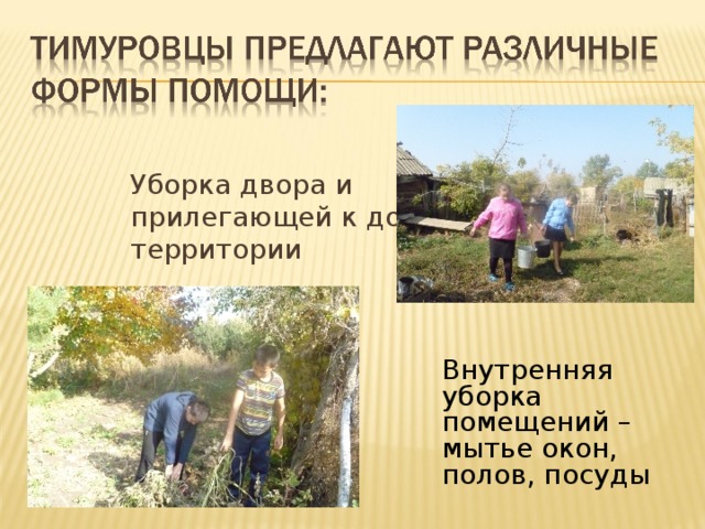  Уборка двора и прилегающей к дому территории  Внутренняя уборка помещений – мытье окон, полов, посуды 