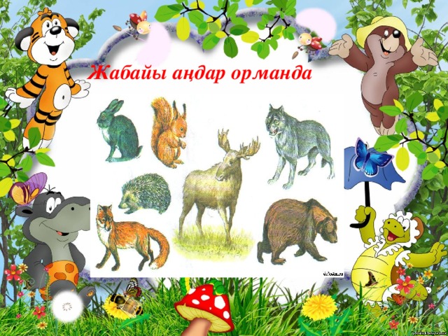 Жабайы аңдар орманда 