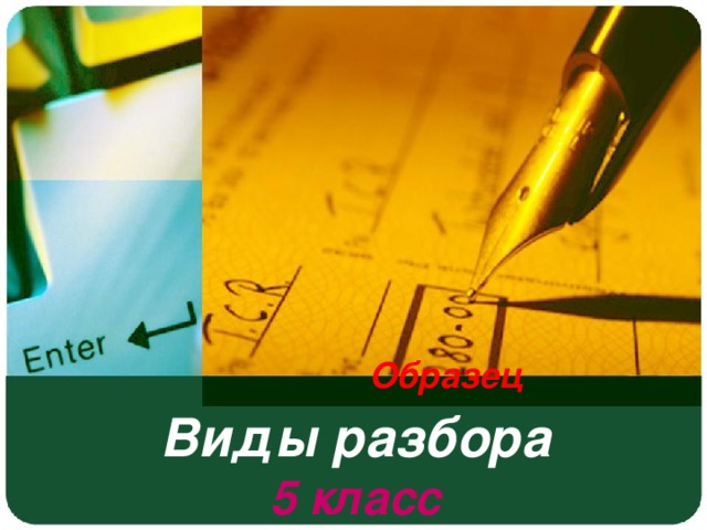 Образец   Виды разбора   5 класс   