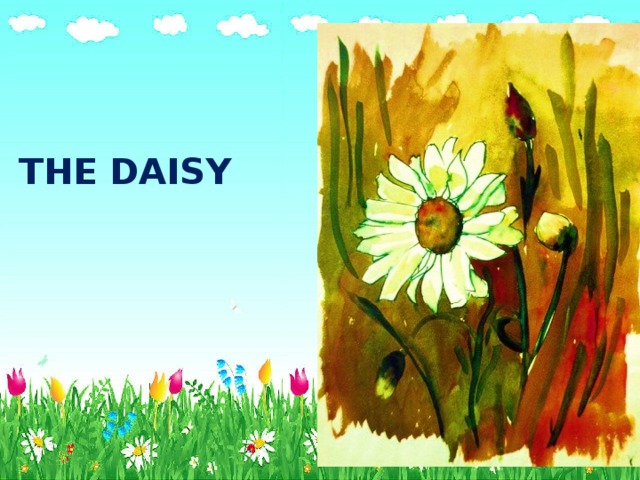 THE DAISY 