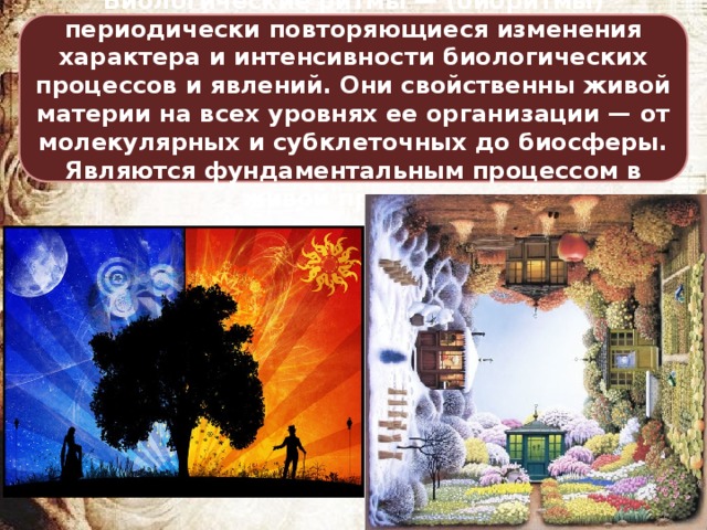 Биологи́ческие ри́тмы — (биоритмы) периодически повторяющиеся изменения характера и интенсивности биологических процессов и явлений. Они свойственны живой материи на всех уровнях ее организации — от молекулярных и субклеточных до биосферы. Являются фундаментальным процессом в живой природе. 