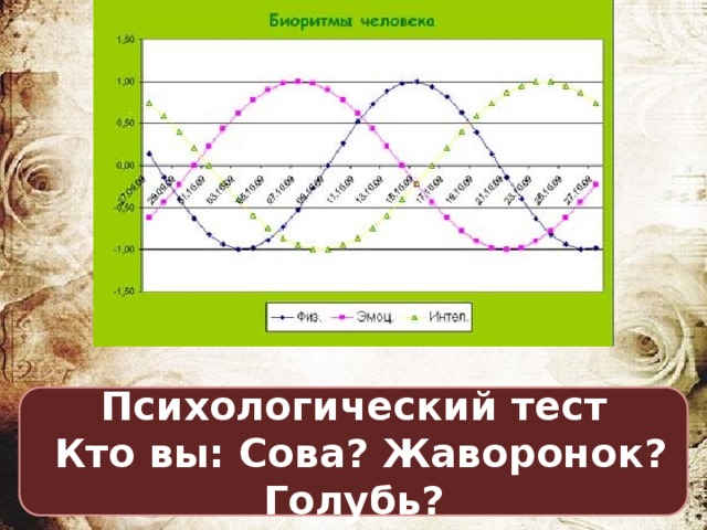 Психологический тест  Кто вы: Сова? Жаворонок? Голубь? 