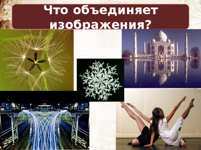 Что объединяет изображения? 