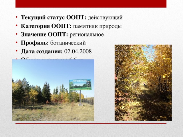 Текущий статус ООПТ:  действующий Категория ООПТ:  памятник природы Значение ООПТ: региональное  Профиль: ботанический Дата создания:   02.04.2008 Общая площадь:  6,6 га 