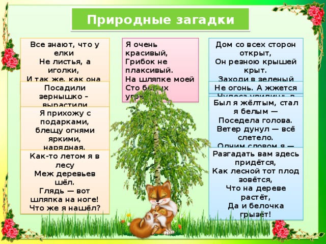 Природные загадки Я очень красивый,  Грибок не плаксивый.  На шляпке моей  Сто белых угрей! Все знают, что у елки   Не листья, а иголки,   И так же, как она   С иголками ...  Дом со всех сторон открыт,  Он резною крышей крыт.  Заходи в зеленый дом,  Чудеса увидишь в нем Посадили зернышко – Не огонь. А жжется вырастили солнышко Был я жёлтым, стал я белым —  Поседела голова.  Ветер дунул — всё слетело.  Одним словом я — трава. Я прихожу с подарками,  блещу огнями яркими,  нарядная, забавная,  на Новый год я главная. Разгадать вам здесь придётся,  Как лесной тот плод зовётся,  Что на дереве растёт,  Да и белочка грызёт! Как-то летом я в лесу  Меж деревьев шёл.  Глядь — вот шляпка на ноге!  Что же я нашёл? 