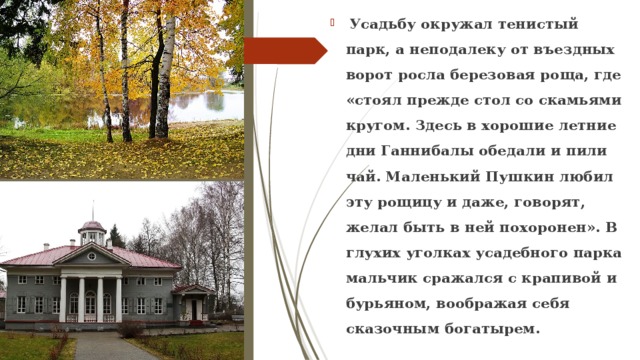   Усадьбу окружал тенистый парк, а неподалеку от въездных ворот росла березовая роща, где «стоял прежде стол со скамьями кругом. Здесь в хорошие летние дни Ганнибалы обедали и пили чай. Маленький Пушкин любил эту рощицу и даже, говорят, желал быть в ней похоронен». В глухих уголках усадебного парка мальчик сражался с крапивой и бурьяном, воображая себя сказочным богатырем. 