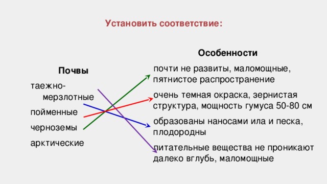 Установить соответствие: Особенности  почти не развиты, маломощные, пятнистое распространение  очень темная окраска, зернистая структура, мощность гумуса 50-80 см  образованы наносами ила и песка, плодородны  питательные вещества не проникают далеко вглубь, маломощные Почвы таежно-мерзлотные пойменные черноземы арктические 