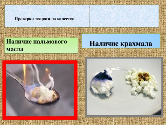      Проверки творога на качество   Наличие крахмала Наличие пальмового масла 
