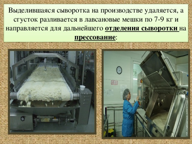 Выделившаяся сыворотка на производстве удаляется, а сгусток разливается в лавсановые мешки по 7-9 кг и направляется для дальнейшего отделения сыворотки на прессование : 