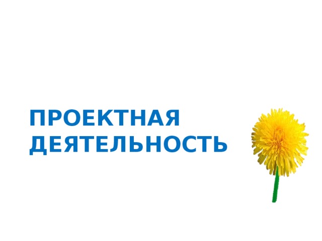 ПРОЕКТНАЯ ДЕЯТЕЛЬНОСТЬ 