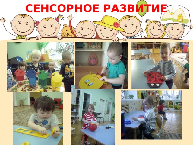 СЕНСОРНОЕ РАЗВИТИЕ 