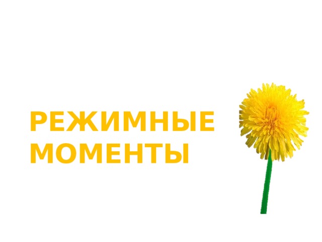 РЕЖИМНЫЕ МОМЕНТЫ 