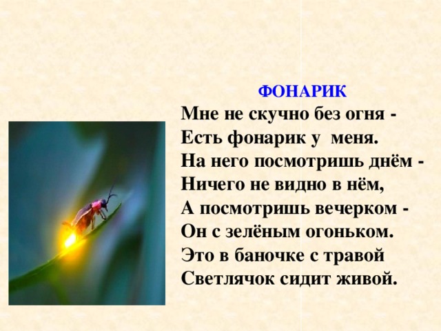 ФОНАРИК Мне не скучно без огня - Есть фонарик у меня. На него посмотришь днём - Ничего не видно в нём, А посмотришь вечерком - Он с зелёным огоньком. Это в баночке с травой Светлячок сидит живой. 