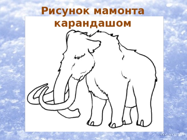 Рисунок мамонта карандашом 