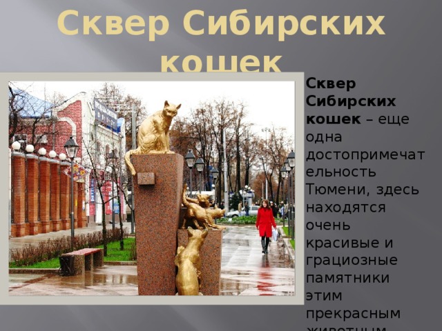 Сквер Сибирских кошек Сквер Сибирских кошек – еще одна достопримечательность Тюмени, здесь находятся очень красивые и грациозные памятники этим прекрасным животным.   