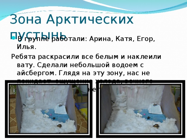 Зона Арктических пустынь В группе работали: Арина, Катя, Егор, Илья. Ребята раскрасили все белым и наклеили вату. Сделали небольшой водоем с айсбергом. Глядя на эту зону, нас не покидает ощущение холода, вечного мороза и больших снегов. 