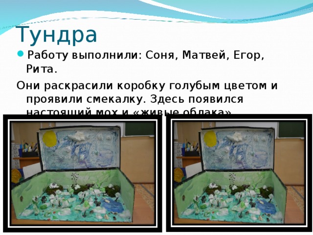 Тундра Работу выполнили: Соня, Матвей, Егор, Рита. Они раскрасили коробку голубым цветом и проявили смекалку. Здесь появился настоящий мох и «живые облака» 