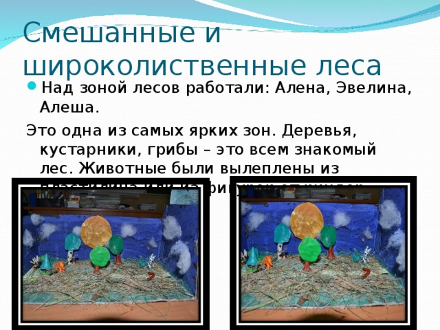 Смешанные и широколиственные леса Над зоной лесов работали: Алена, Эвелина, Алеша. Это одна из самых ярких зон. Деревья, кустарники, грибы – это всем знакомый лес. Животные были вылеплены из пластилина или из фигурок от киндер-сюрприза. 