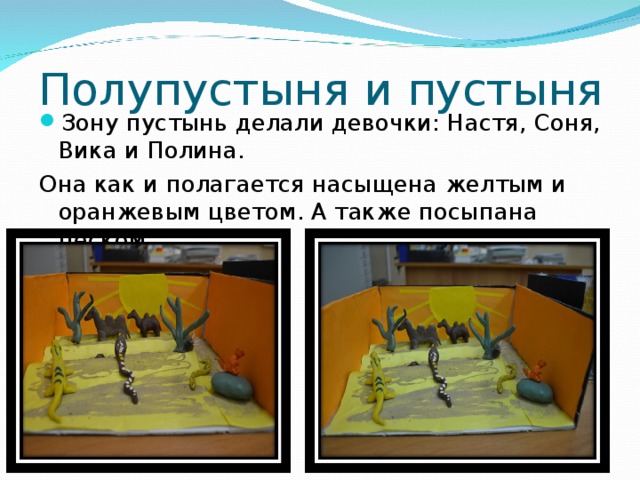Полупустыня и пустыня Зону пустынь делали девочки: Настя, Соня, Вика и Полина. Она как и полагается насыщена желтым и оранжевым цветом. А также посыпана песком. 