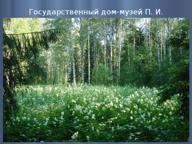 Государственный дом-музей П. И. Чайковского   