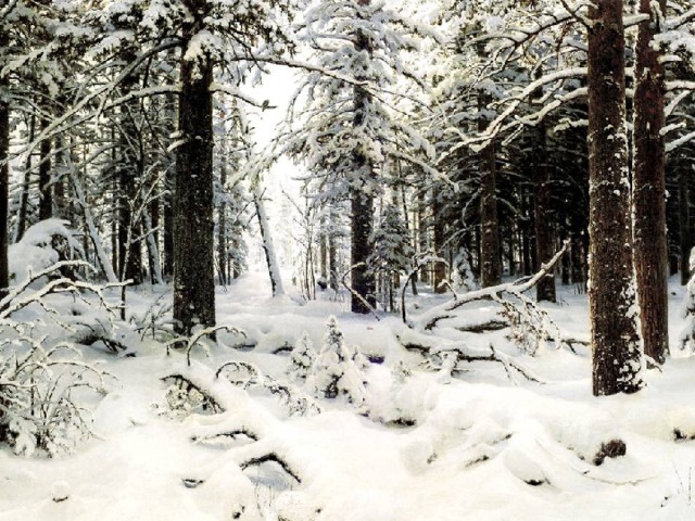 И.И. Шишкин  Зима (1890) 