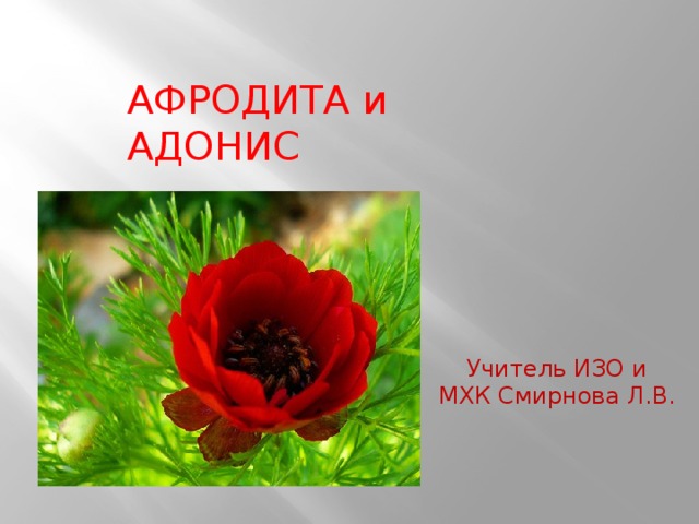 АФРОДИТА и АДОНИС Учитель ИЗО и МХК Смирнова Л.В. 