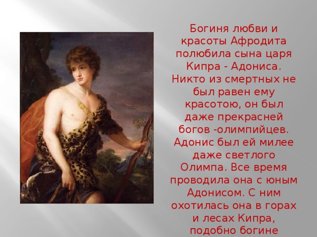 Богиня любви и красоты Афродита полюбила сына царя Кипра - Адониса. Никто из смертных не был равен ему красотою, он был даже прекрасней богов -олимпийцев. Адонис был ей милее даже светлого Олимпа. Все время проводила она с юным Адонисом. С ним охотилась она в горах и лесах Кипра, подобно богине Артемиде. 