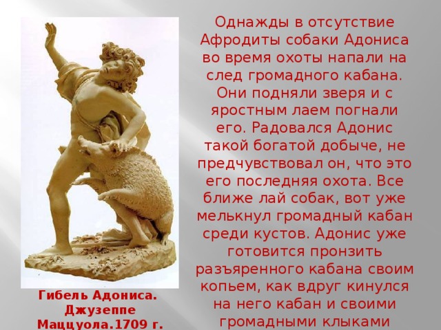 Однажды в отсутствие Афродиты собаки Адониса во время охоты напали на след громадного кабана. Они подняли зверя и с яростным лаем погнали его. Радовался Адонис такой богатой добыче, не предчувствовал он, что это его последняя охота. Все ближе лай собак, вот уже мелькнул громадный кабан среди кустов. Адонис уже готовится пронзить разъяренного кабана своим копьем, как вдруг кинулся на него кабан и своими громадными клыками смертельно ранил любимца Афродиты. Умер Адонис от страшной раны. Гибель Адониса. Джузеппе Маццуола.1709 г. 