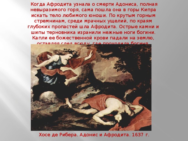  Когда Афродита узнала о смерти Адониса, полная невыразимого горя, сама пошла она в горы Кипра искать тело любимого юноши. По крутым горным стремнинам, среди мрачных ущелий, по краям глубоких пропастей шла Афродита. Острые камни и шипы терновника изранили нежные ноги богини. Капли ее божественной крови падали на землю, оставляя след всюду, где проходила богиня. Хосе де Рибера. Адонис и Афродита. 1637 г. 