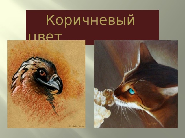  Коричневый цвет 