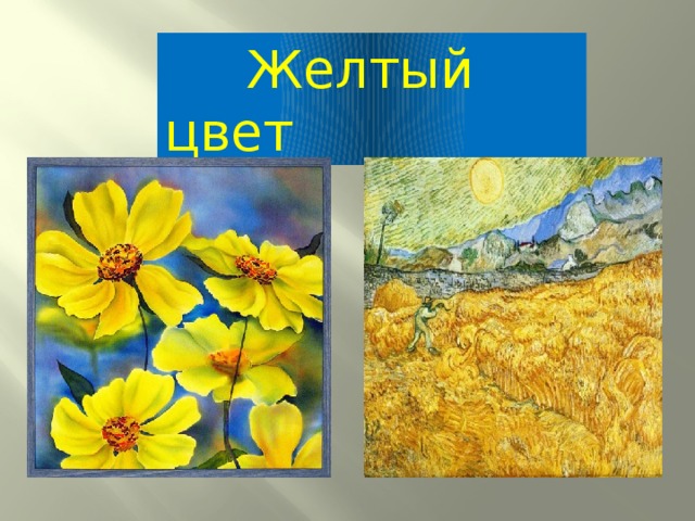  Желтый цвет 