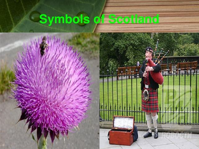 Symbols of Scotland 