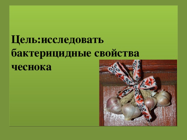Цель:исследовать бактерицидные свойства чеснока    