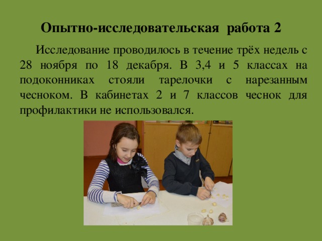 Опытно-исследовательская работа 2    Исследование проводилось в течение трёх недель с 28 ноября по 18 декабря. В 3,4 и 5 классах на подоконниках стояли тарелочки с нарезанным чесноком. В кабинетах 2 и 7 классов чеснок для профилактики не использовался. 