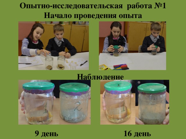 Опытно-исследовательская работа №1  Начало проведения опыта   Наблюдение 9 день 16 день 