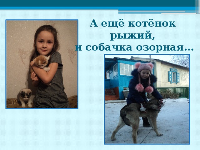 А ещё котёнок рыжий, и собачка озорная… 