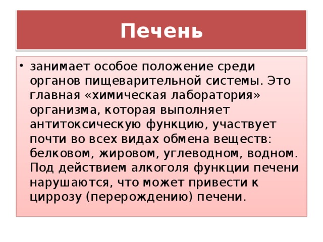 Печень занимает особое положение среди органов пищеварительной системы. Это главная «химическая лаборатория» организма, которая выполняет антитоксическую функцию, участвует почти во всех видах обмена веществ: белковом, жировом, углеводном, водном. Под действием алкоголя функции печени нарушаются, что может привести к циррозу (перерождению) печени. 