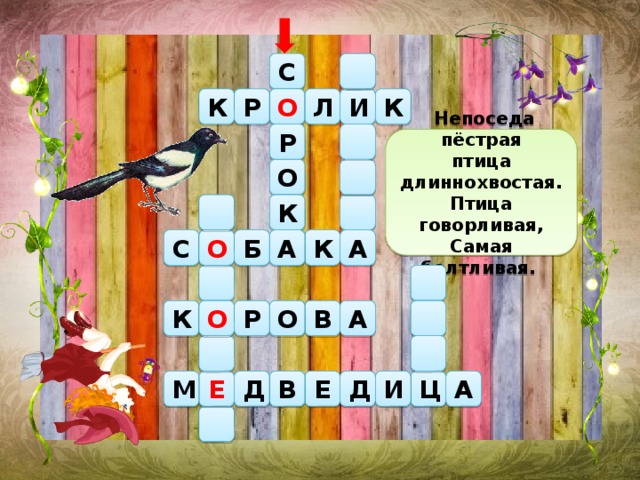  Непоседа пёстрая птица длиннохвостая. Птица говорливая, Самая болтливая. С Р И К К Л О Р О К С А А Б К О О В А К О Р Д В Д И А М Ц Е Е 
